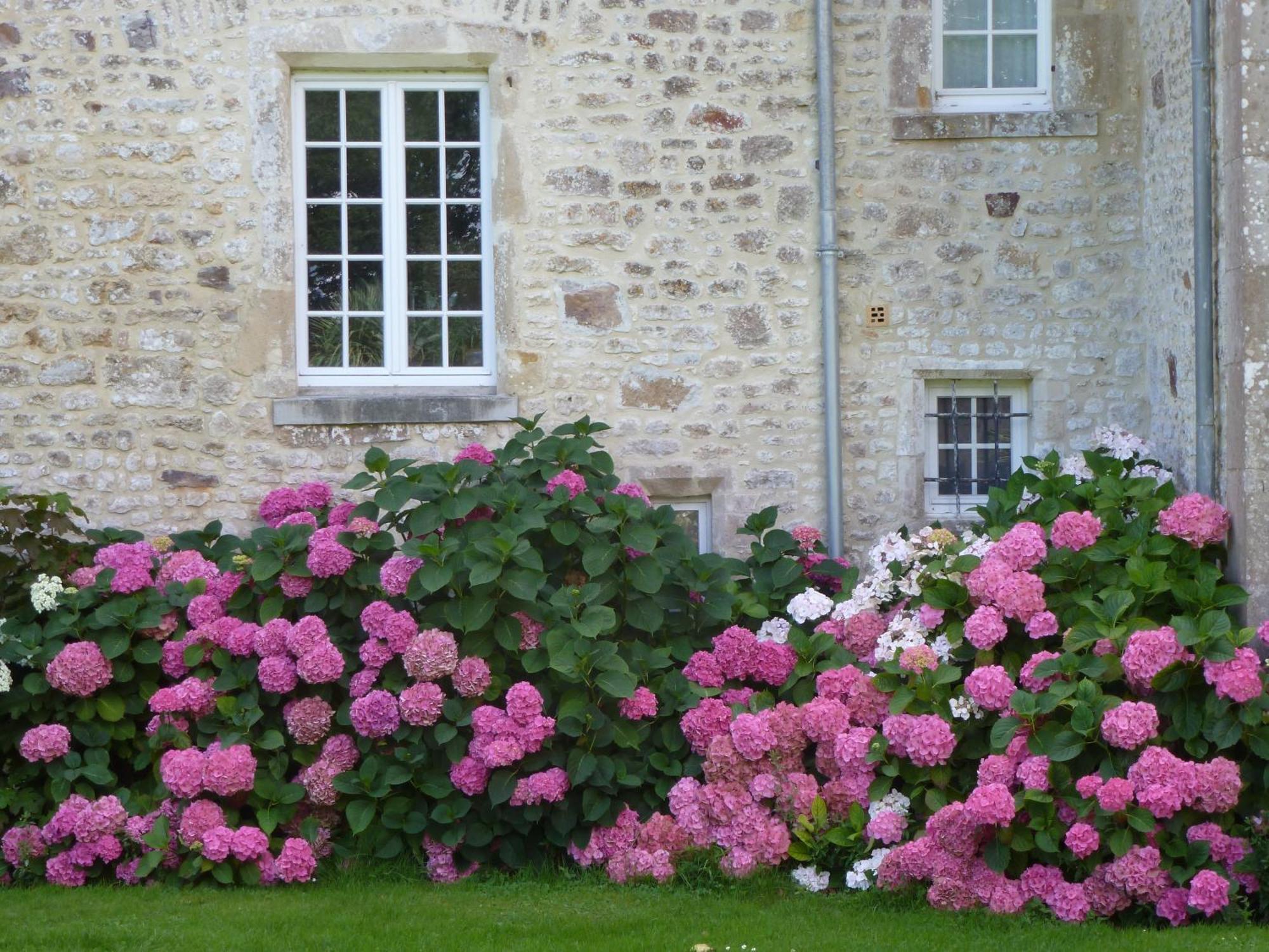 Manoir De Savigny Valognes Exterior foto